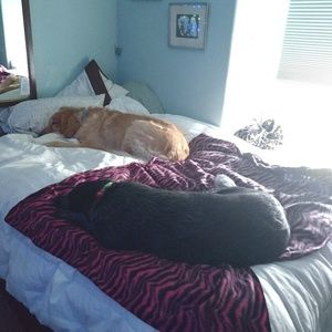 Meet your Posher, Anya